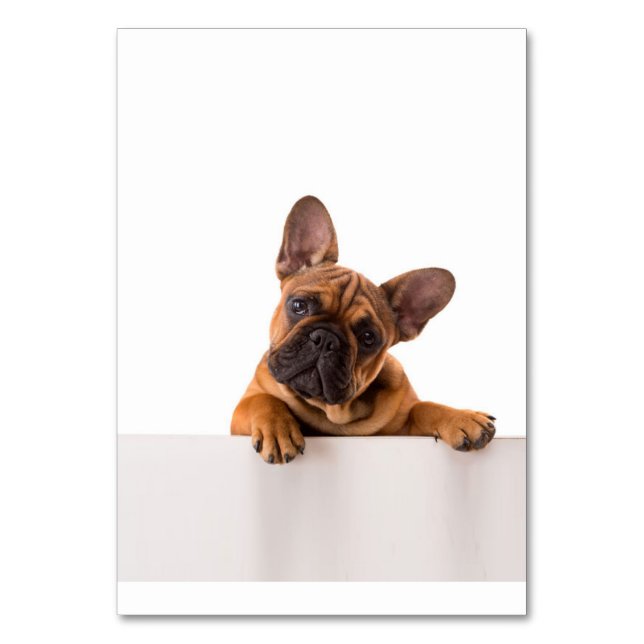 Numéro De Table mignon Bulldog | Vraiment mignon, Bulldog anglais (Par défaut)