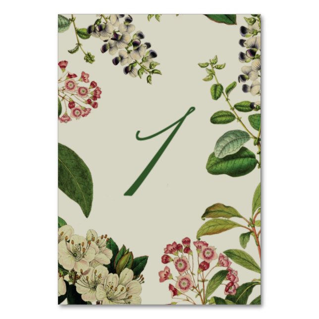 NUMÉRO DE TABLE NUMÉROS DE TABLEAU BOTANIQUE - CRÈME (Par défaut)