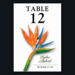 Numéro De Table Oiseau tropical du Paradis Mariage botanique<br><div class="desc">Un oiseau tropical exotique de fleur d'aquarelle paradisiaque met en évidence ces Cartes Numéro de Table avec des lettres chic. Personnalisez avec vos informations qui s'impriment sur l'avant et l'arrière (double face). REMARQUE : Créez et ajoutez CHAQUE carte de numéro de table dont vous avez besoin dans votre panier individuellement....</div>
