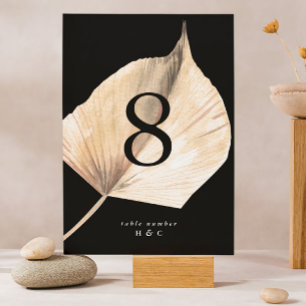 Numéro De Table Onyx Black Premium Élégant Pampas Grass Floral