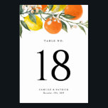 Numéro De Table Oranges botaniques et citrons Mariage d'été<br><div class="desc">Ajoutez une touche rafraîchissante d'inspiration agrumes à votre événement avec ces cartes numériques personnalisables, avec une aquarelle dynamique de citrons et d'oranges. Parfaites pour un mariage, un baby shower ou une fête à thème tropical, estival ou agrumes, ces cartes de numéro de table peuvent être personnalisées avec vos numéros de...</div>