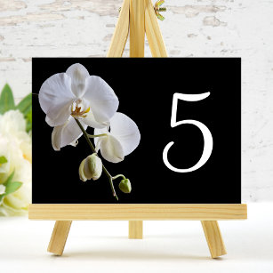 Numéro De Table Orchidée blanche sur des chiffres de table noire