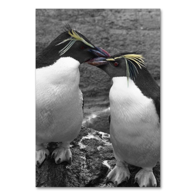 Numéro De Table Penguin Colour Splash (Par défaut)