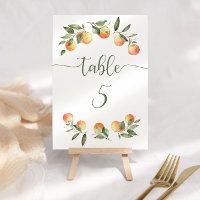 Petits agrumes oranges mignons