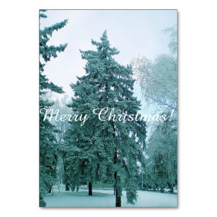 Numéro De Table Pin de Noël avec neige