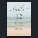 Numéro De Table Plage Front Vintage Hawaii Mariage Table<br><div class="desc">Réservez votre liste d'invités mariages dans cette carte de numéro de table de mariage vintage avec un arrière - plan de plage pour un thème de mariage tropical d'été.</div>
