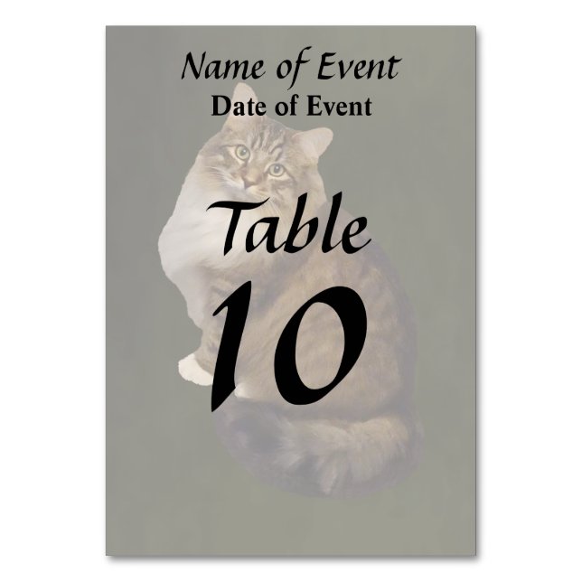 Numéro De Table Portrait de chat Maine Coon (Par défaut)