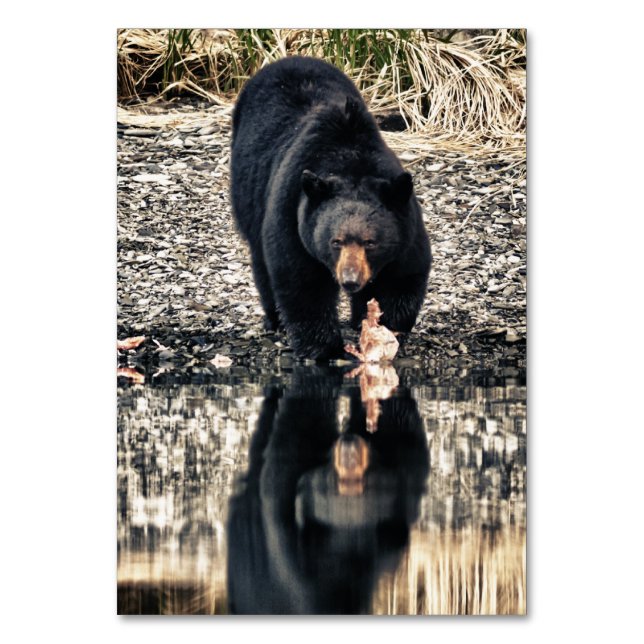 Numéro De Table Réflexions de l'ours noir (Par défaut)