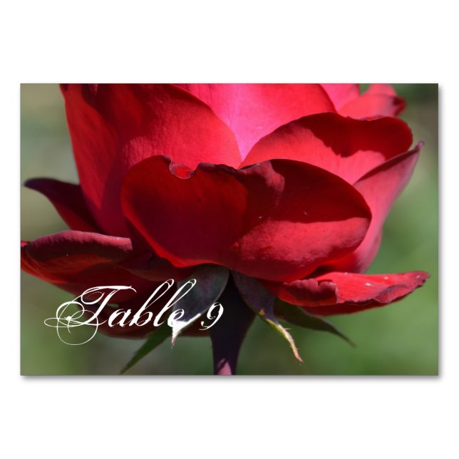 Numéro De Table Rose rouge (Devant)