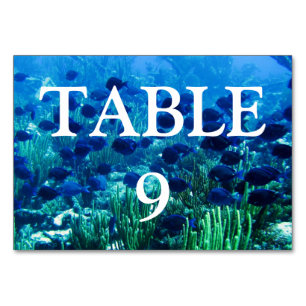 Numéro De Table Shoal of Blue Discus Fish