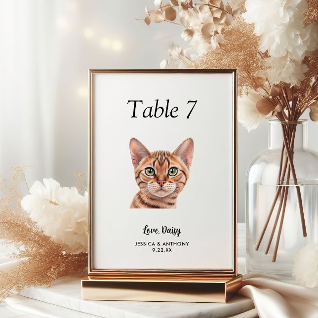 Numéro De Table Simple Aquarelle Moderne Chat Mariage  (Créateur téléchargé)