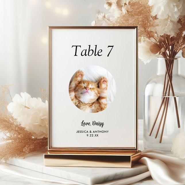 Numéro De Table Simple Photo de Chat en Noir et Blanc Mariage  (Créateur téléchargé)