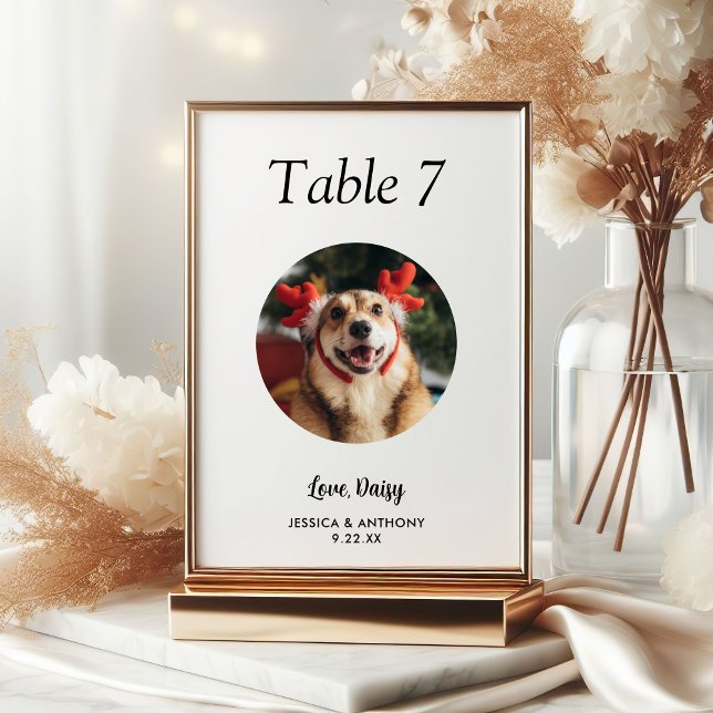 Numéro De Table Simple Photo de Chien en Noir et Blanc Mariage  (Créateur téléchargé)
