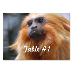 Numéro De Table Singe Lion d'or Tamarin