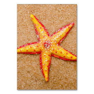 Numéro De Table Starfish on Sand