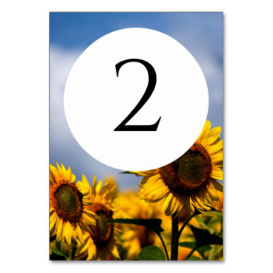 Numéro De Table Sunflower Blue Sky Rustique Mariage