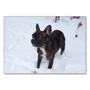 Numéro De Table Sweet Black French Bulldog aime la neige