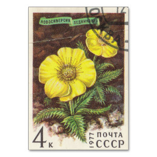 Numéro De Table Timbre postal soviétique Novosiversiya glacer