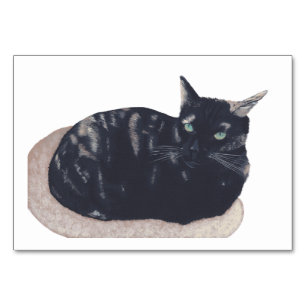 Numéro De Table Tortoiseshell Cat Reading Flashcards for Adults