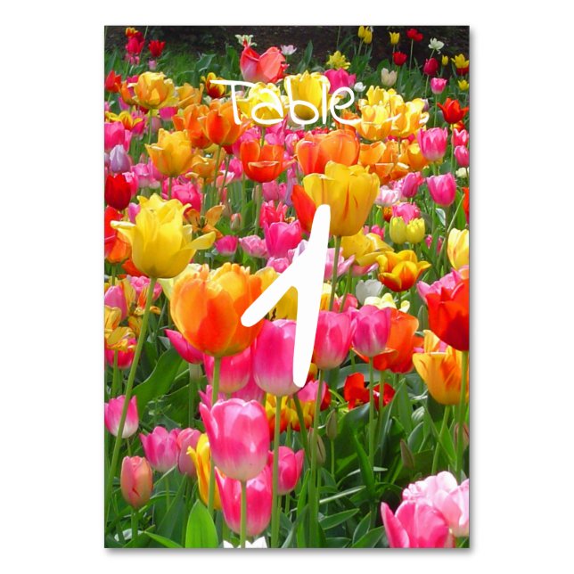 Numéro De Table Tulières rouges rose jaune (Dos)