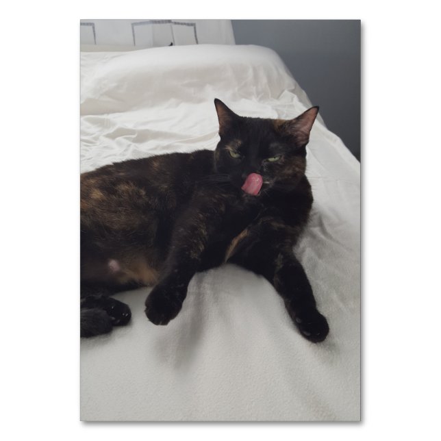 Numéro De Table Verbes en léchant chat lecture flashcards adultes (Par défaut)