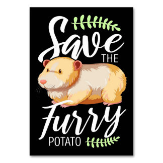 Numéro De Table Vintage Guinea Pig Cute Animals Pet Owner Gift