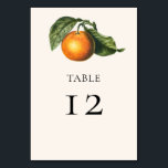 Numéro De Table Vintage Orange Citrus Verdure Mariage botanique<br><div class="desc">Numéros élégants de table de mariage avec Vintage Lemon Orange Botanical Greenery Illustration pour votre réception de mariage. L'ajustement parfait pour un mariage Boho ou un mariage d'été. Des invitations assorties et d'autres articles sont disponibles dans ma boutique - regardez toute la collection.</div>