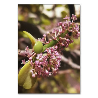 Numéro De Table Vue de l'environnement réel