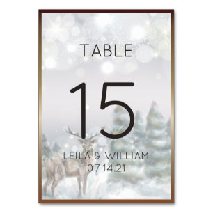 Numéro de tableau Carte hivernale idylle magique