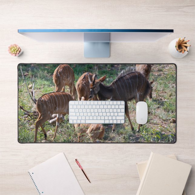 Nyala gracieux dans les prairies africaines (Bureau 1)