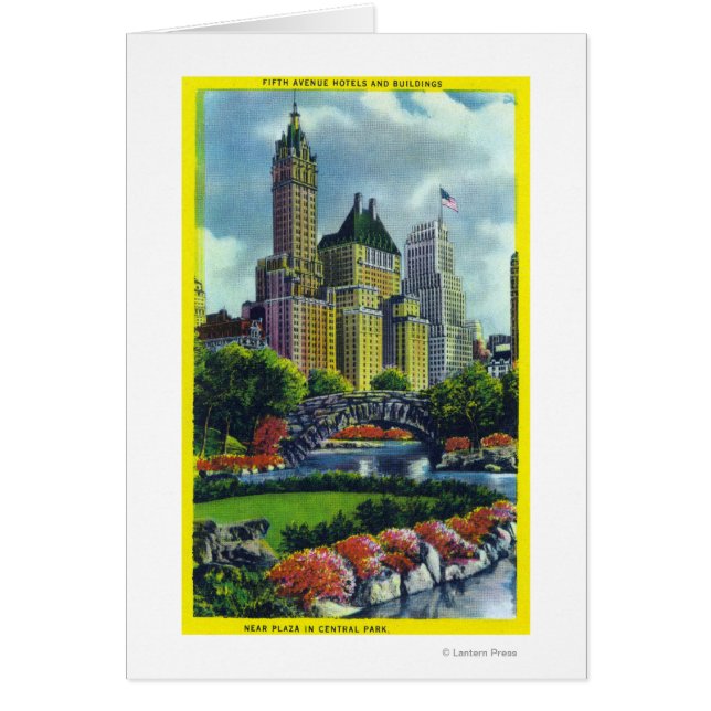 NYC Central Park Vue des hôtels de 5th Ave (Devant)