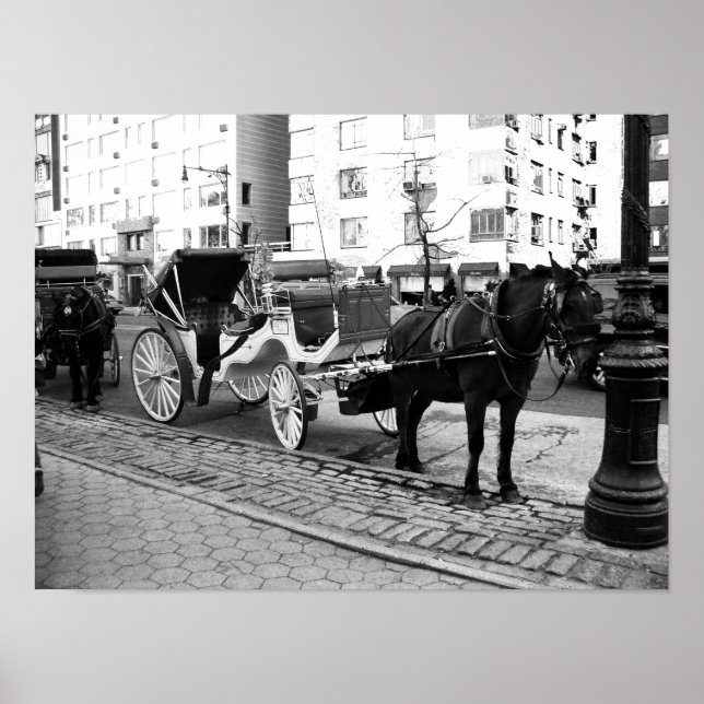 NYC Horse and Carriage Black White Photo Poster (Devant)