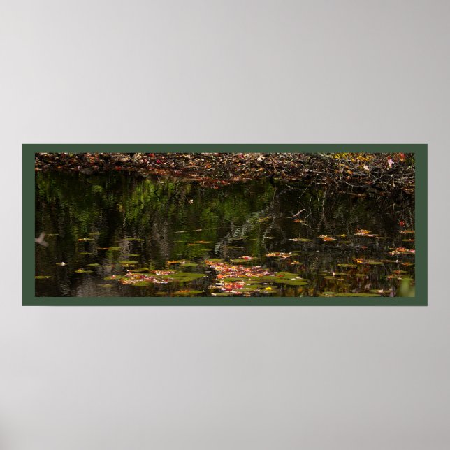 Nymphéas Affiche Photo (Devant)