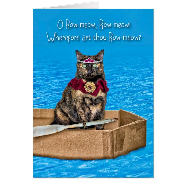O Chat De Lin Dans Un Bateau En Carton Drôle Valen (Devant)