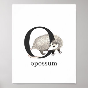 O pour Opossum Poster