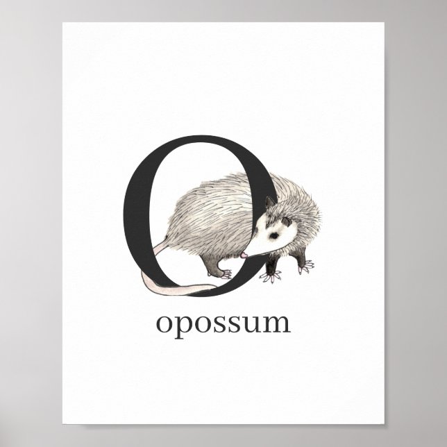 O pour Opossum Poster (Devant)