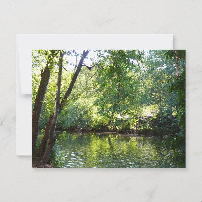 Oak Creek I à Sedona Arizona Nature Photographie (Devant)