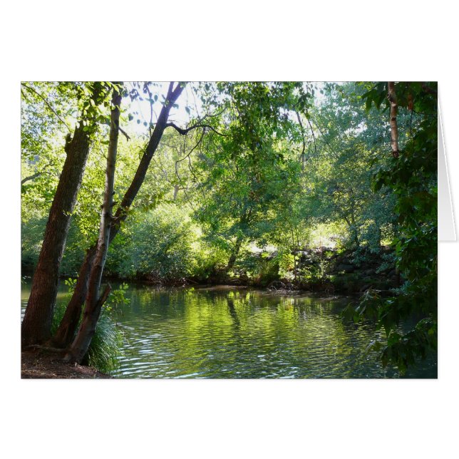 Oak Creek I à Sedona Arizona Nature Photographie (Devant horizontal)