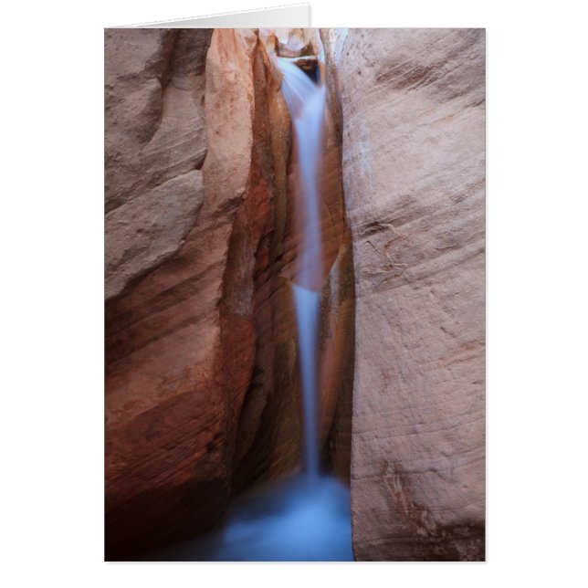 Oasis de désolation (Devant)