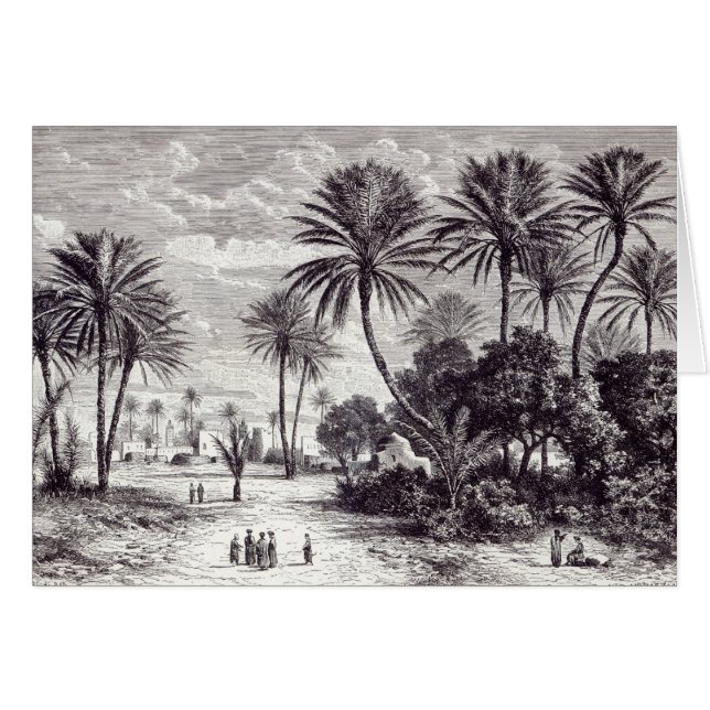 Oasis de Gafsa : Tunis (Devant horizontal)