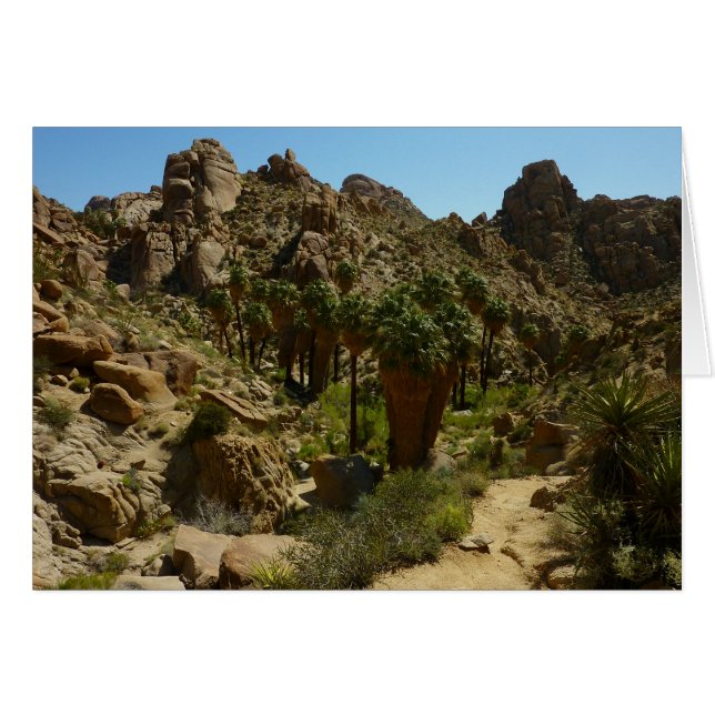 Oasis de Lost Palms II au parc national de Joshua  (Devant horizontal)