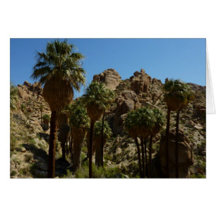 Oasis Lost Palms I dans le Parc national de Joshua