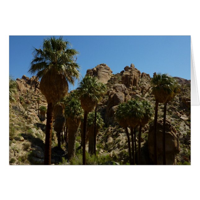 Oasis Lost Palms I dans le Parc national de Joshua (Devant horizontal)