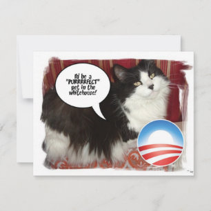 Obama Pet/Humour politique