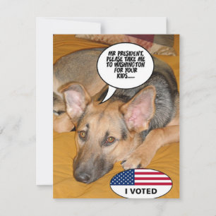 Obama Pet/Whitehouse Humour