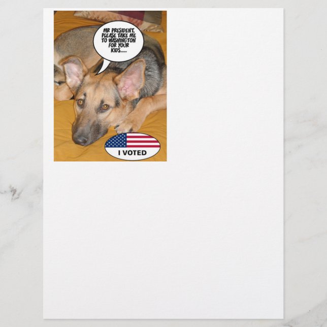 Obama Pet/Whitehouse Humour (Devant)
