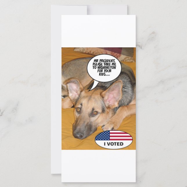 Obama Pet/Whitehouse Humour (Devant)