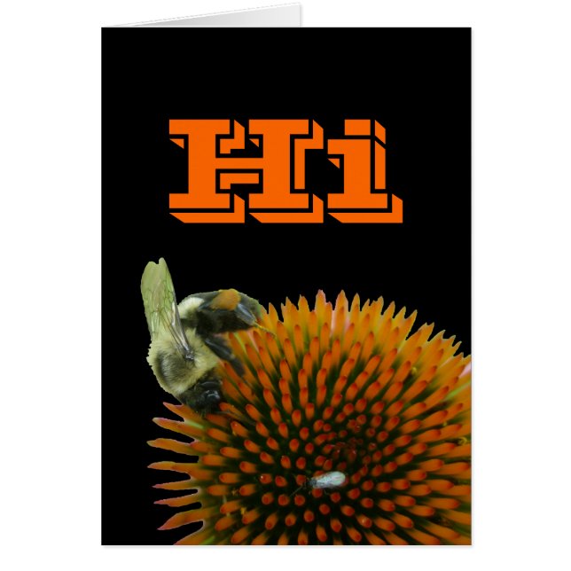Objets d'abeilles du décorateur et du charpentier  (Devant)