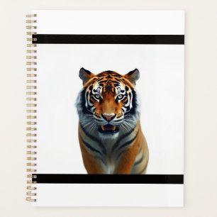 Observation de tigre