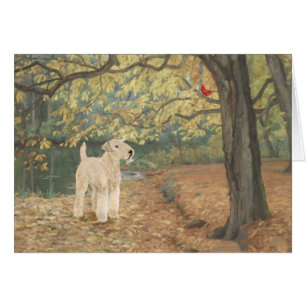 Observation des oiseaux de Lakeland Terrier